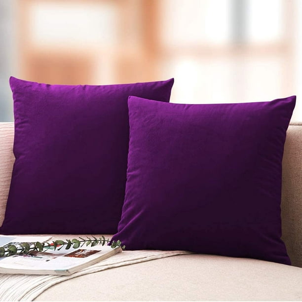 Velvet Cushion Cover Plum Decorative Pillowcases 2 Pack for Sofa Bed and Couch